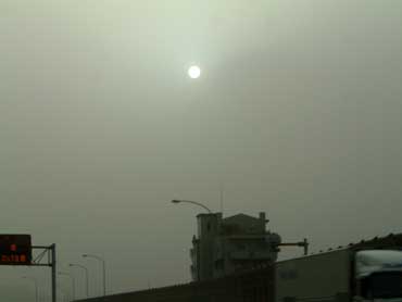 20100321.jpg