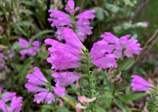 23f55e611.jpg