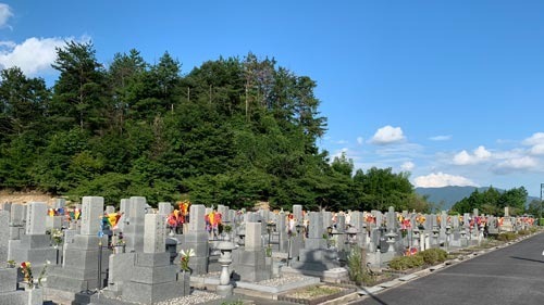 3f6723.jpg