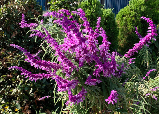 75a614161b8.jpg