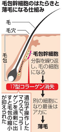 AS20160204004489_comm.jpg