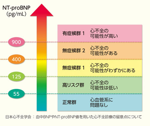 BNP240412.jpg