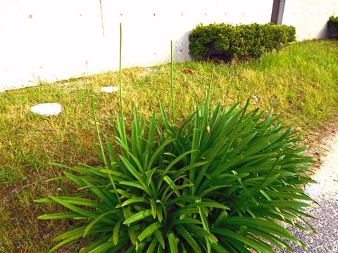 DSCN1807.jpg