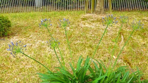DSCN1808.jpg