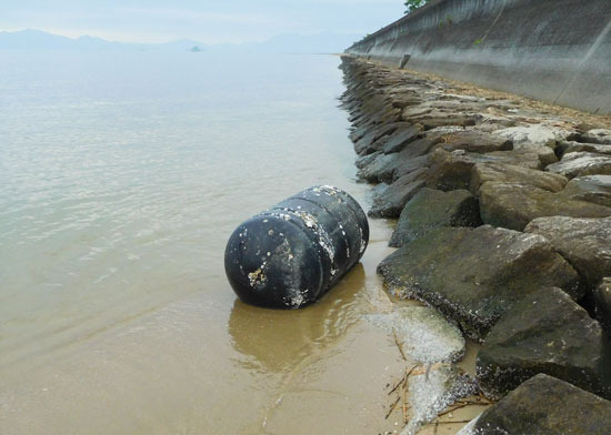 DSCN2178.jpg