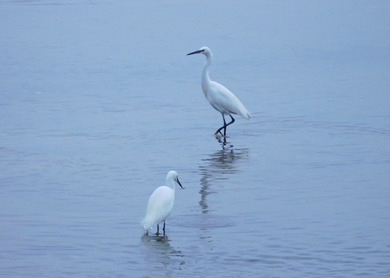 DSCN2360.jpg