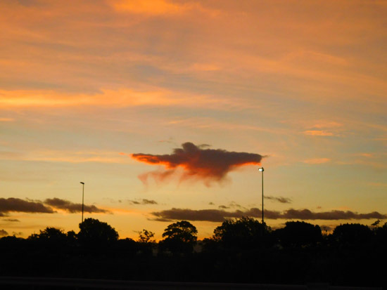 DSCN2455.jpg