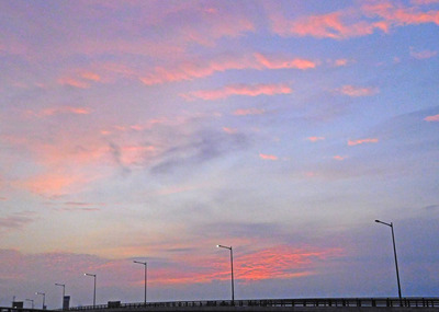 DSCN2670.jpg