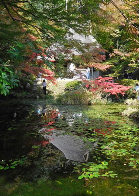 DSCN2830.jpg