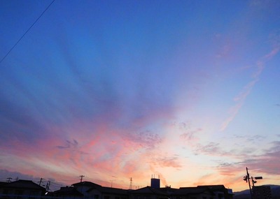 DSCN2879.jpg