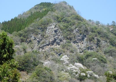 DSCN3233.jpg