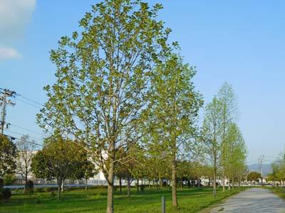 DSCN3391.jpg