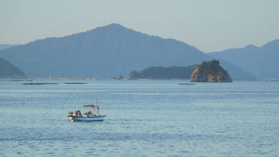 DSCN4596.jpg