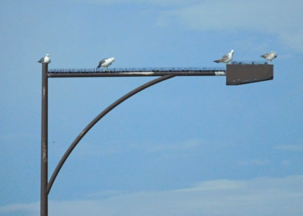DSCN5098.jpg