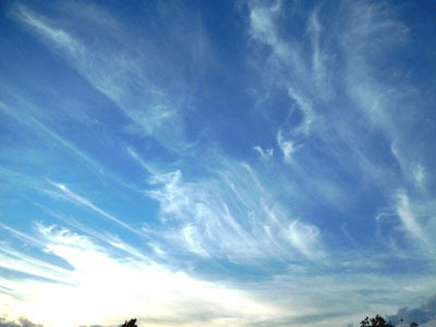 DSCN5729.jpg