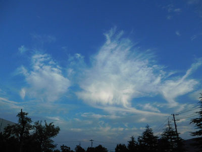 DSCN6024.jpg