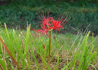 DSCN6148.jpg