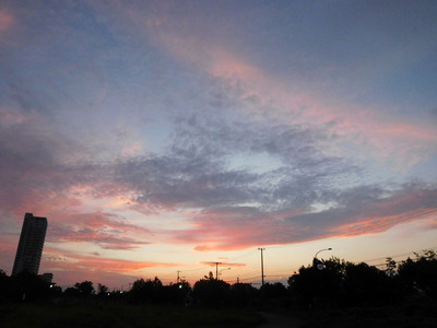 DSCN6264.jpg