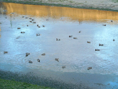 DSCN7190.jpg