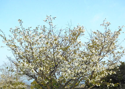 DSCN8223.jpg