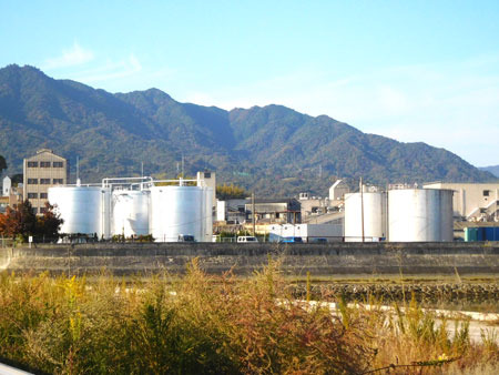 DSCN8265.jpg