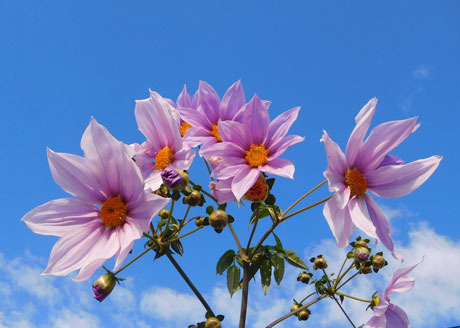 DSCN8318.jpg