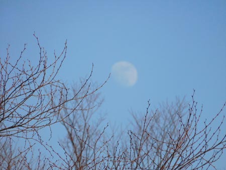 DSCN8779.jpg