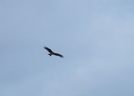 DSCN8930.jpg