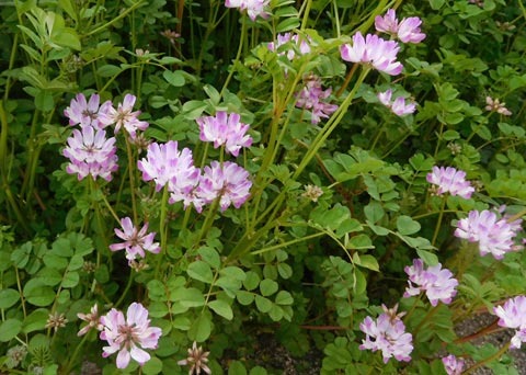 DSCN9361.jpg