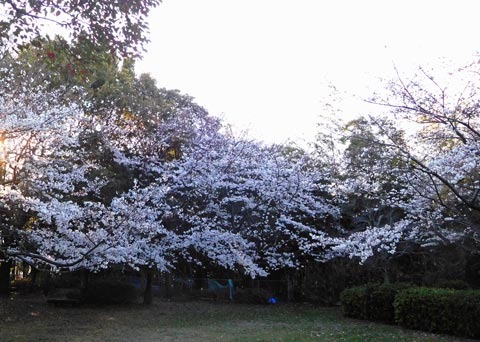 DSCN9371.jpg