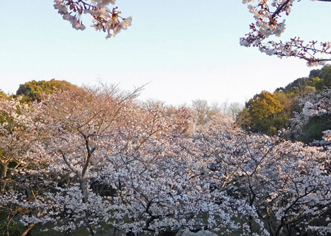 DSCN9373.jpg