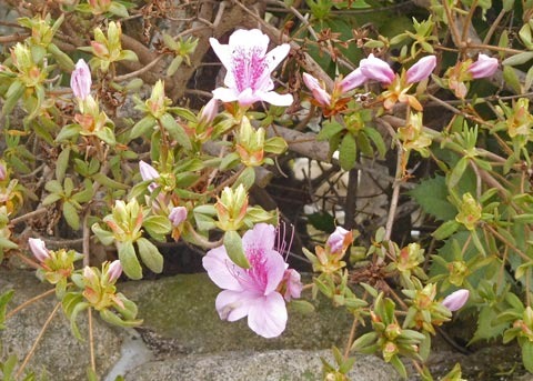 DSCN9401.jpg