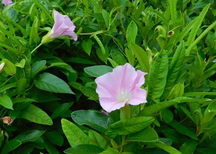 DSCN9455.jpg