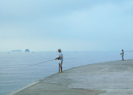 DSCN9477.jpg