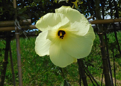 DSCN9501.jpg