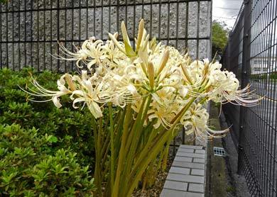 DSCN9585.jpg