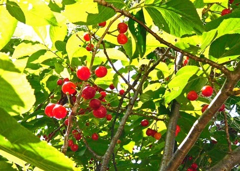 DSCN96740.jpg