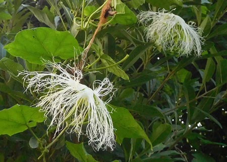 DSCN9750.jpg