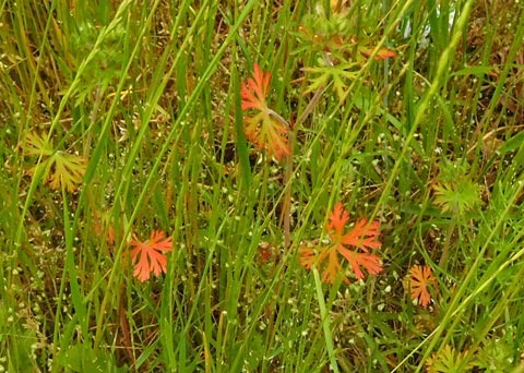 DSCN9933.jpg