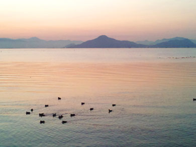 DSC_0051.jpg