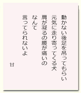 甘12.jpg