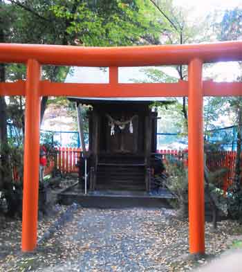 NEC_0002.jpg