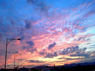 NEC_0005.jpg