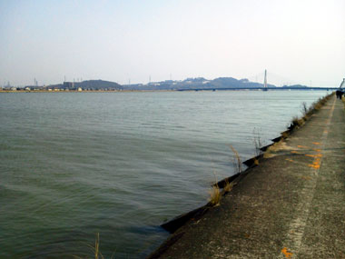 NEC_0017.jpg