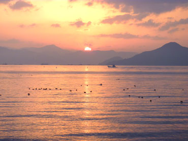 P1000537.jpg