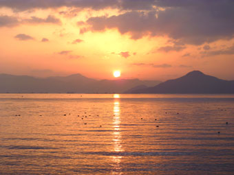 P1000546.jpg