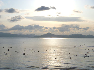 P1000563.jpg
