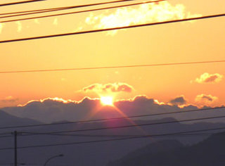 P1010009.jpg