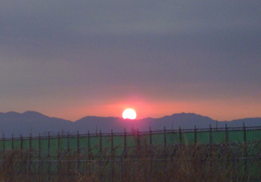 P1010105.jpg
