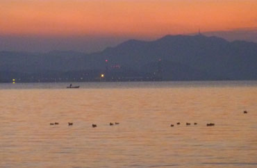 P1010436.jpg